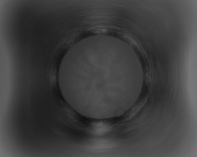 X0000100400561200806061319