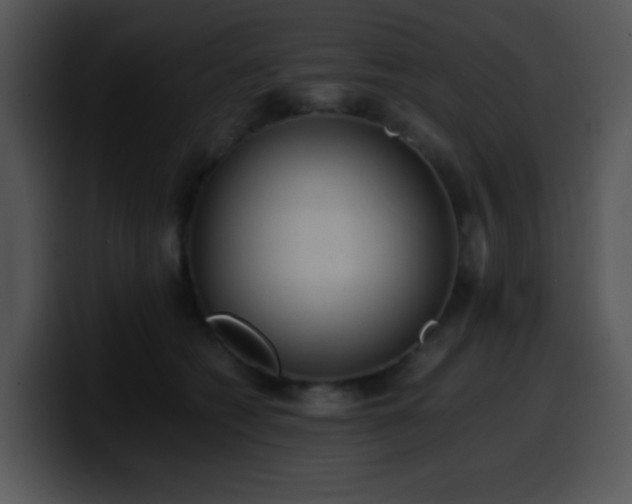 X0000100400562200806061319