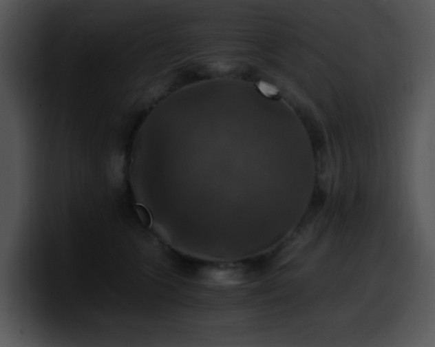 X0000100400563200806061319