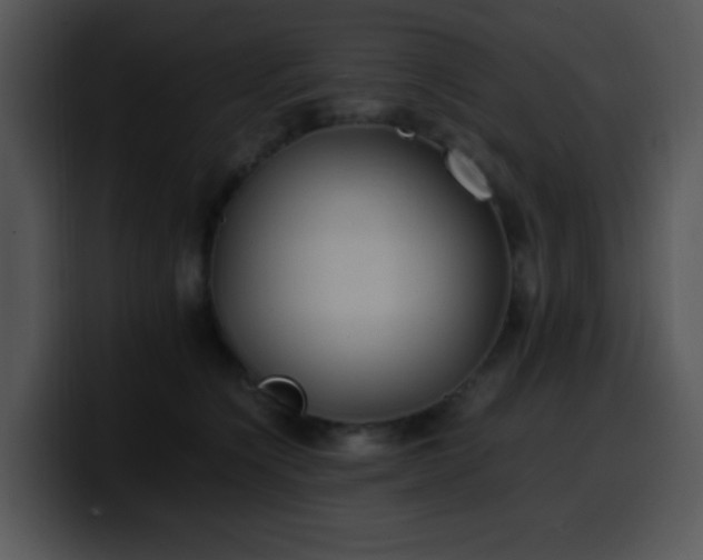 X0000100400564200806061319