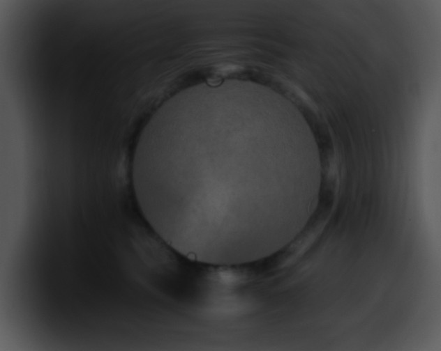 X0000100400565200806061319
