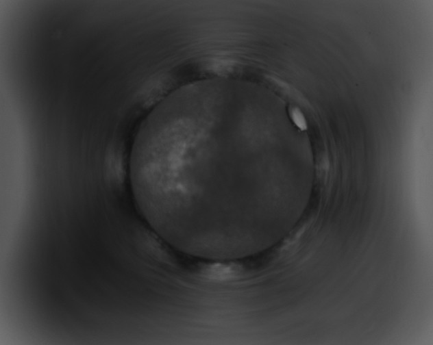 X0000100400566200806061319