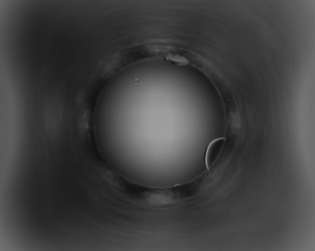 X0000100400567200806061319