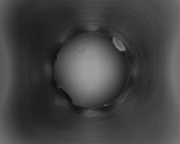 X0000100400568200806061319