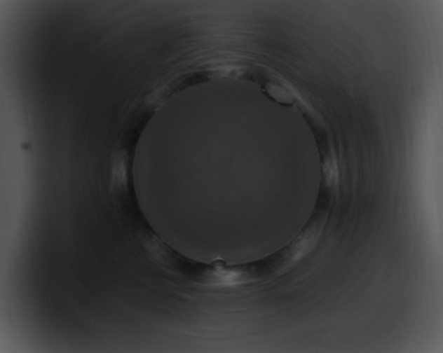 X0000100400570200806061319