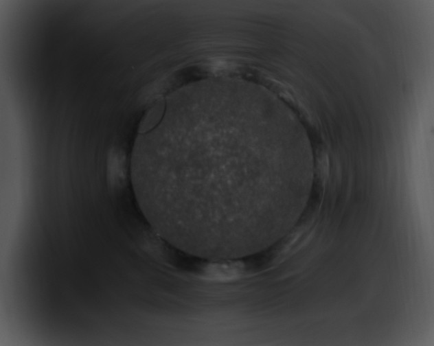 X0000100400571200806061319