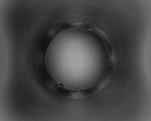 X0000100400572200806061319