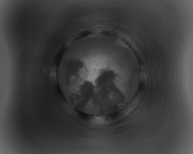 X0000100400573200806061319