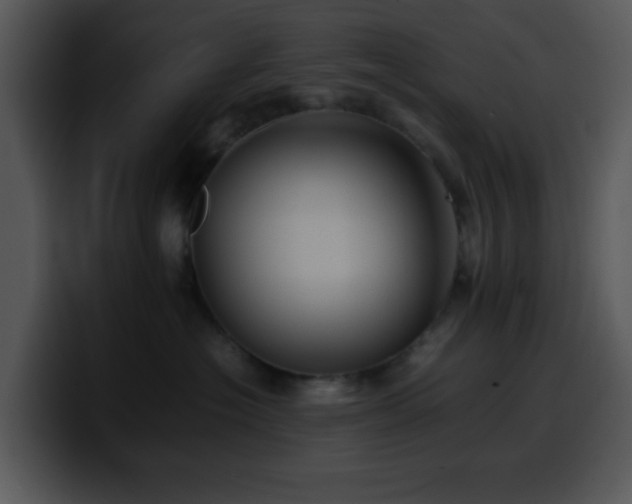 X0000100400574200806061319