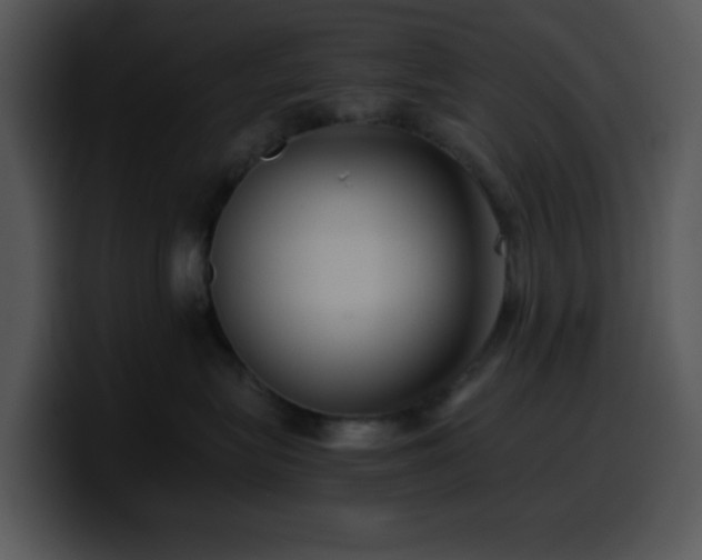 X0000100400575200806061319