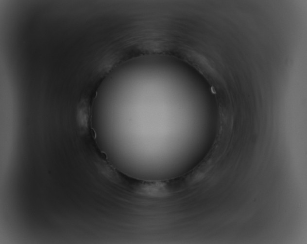 X0000100400576200806061319