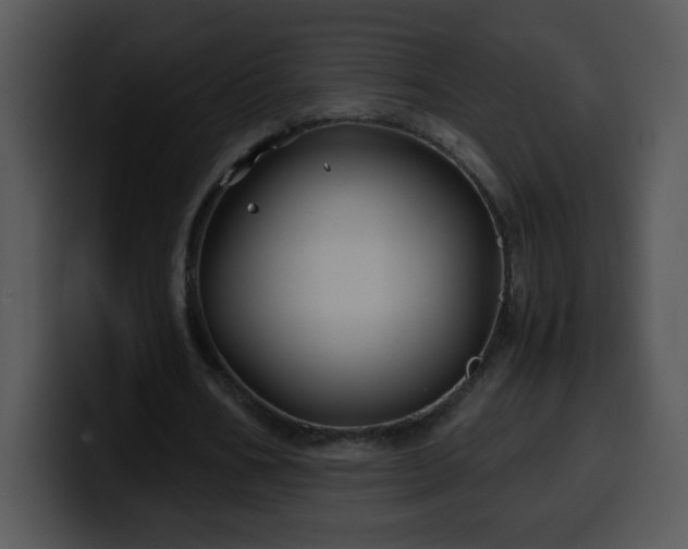 X0000100400578200806061318