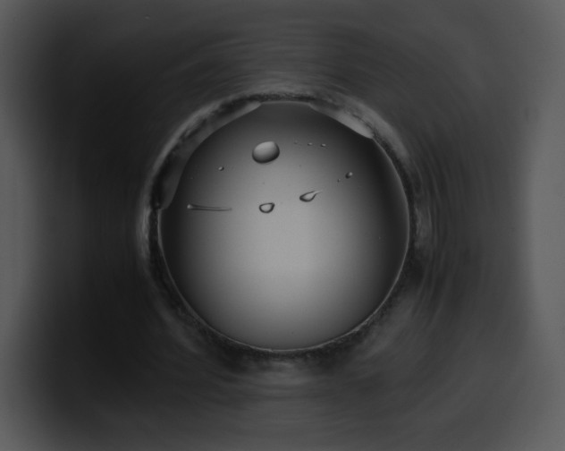 X0000100400580200806061318