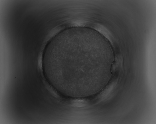 X0000100400581200806061318