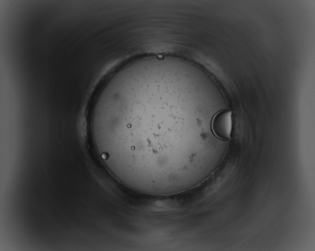 X0000100400584200806061318