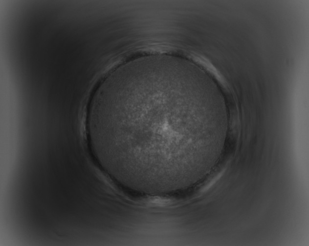 X0000100400585200806061318