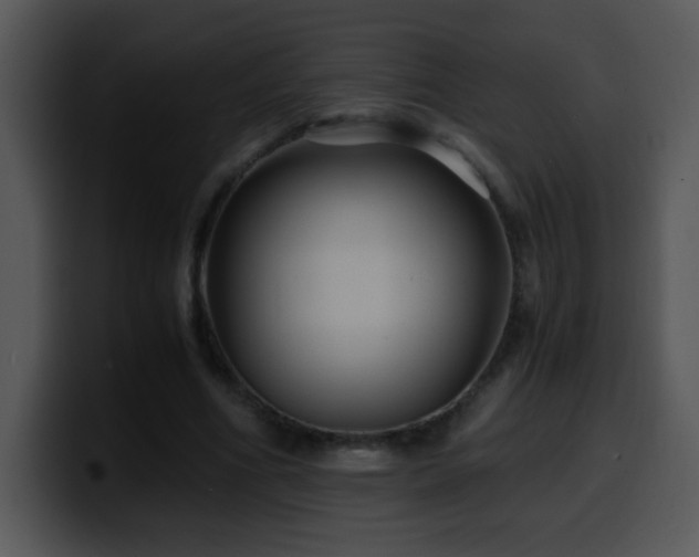 X0000100400586200806061318