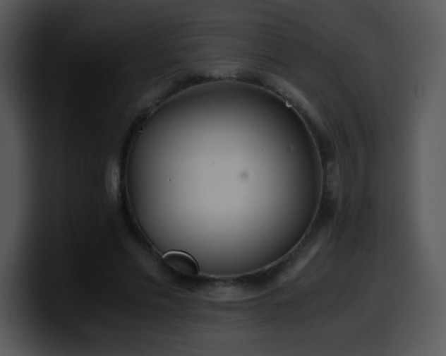 X0000100400589200806061318