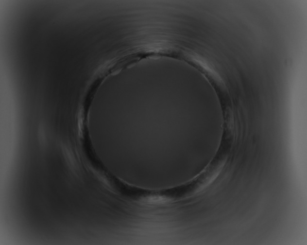 X0000100400590200806061318