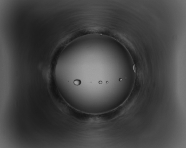 X0000100400591200806061318