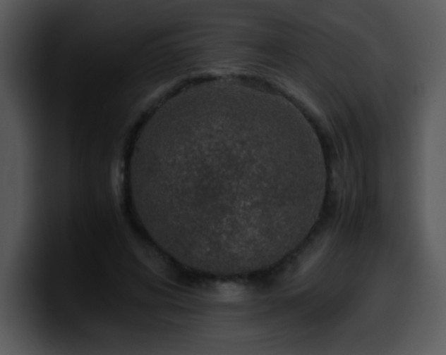 X0000100400592200806061318