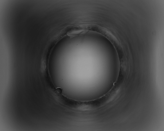 X0000100400593200806061318