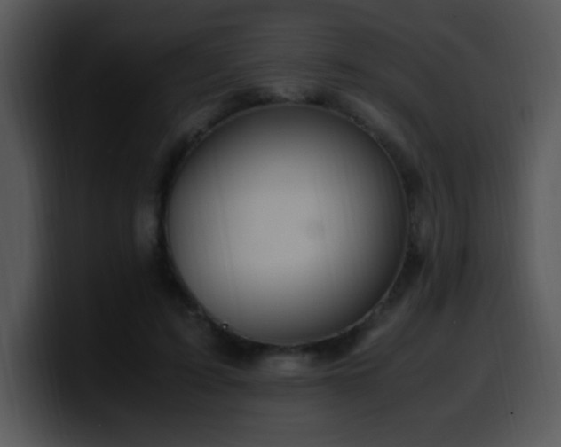 X0000100400595200806061318