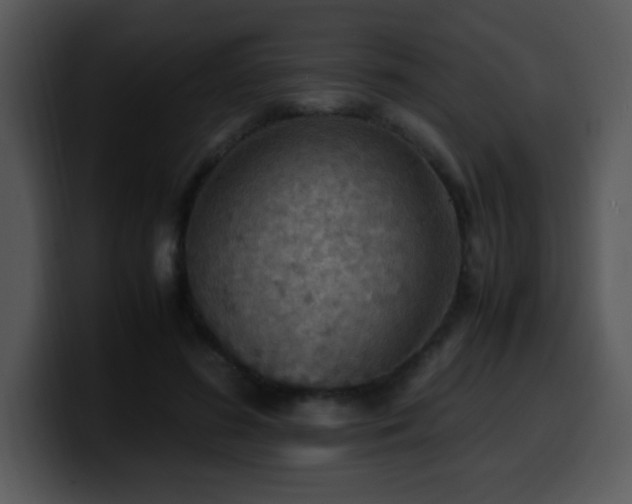 X0000100400596200806061318