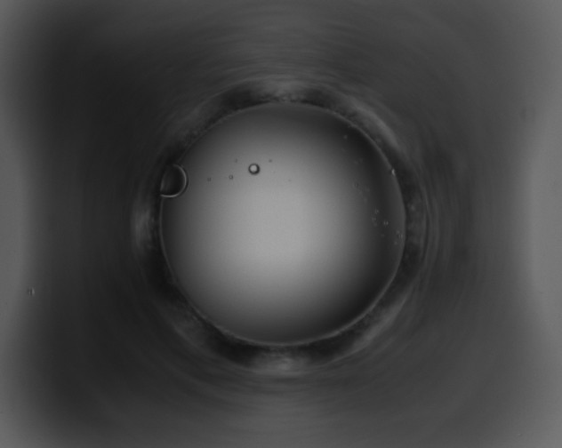 X0000100400597200806061318