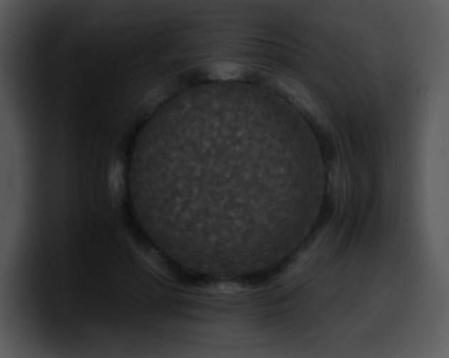 X0000100400598200806061318