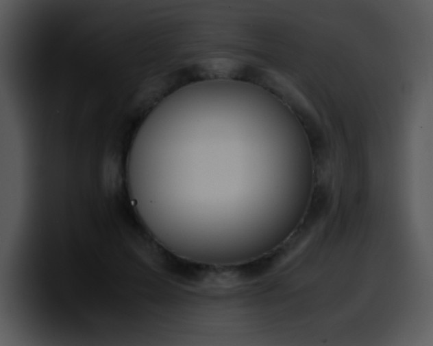X0000100400599200806061318