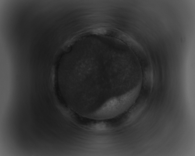 X0000100400600200806061318