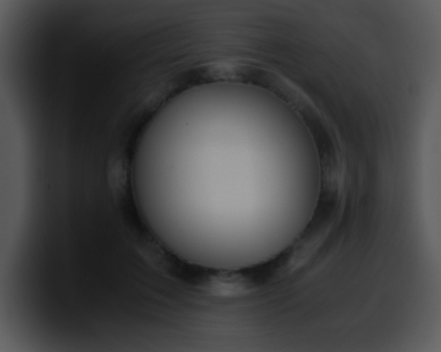 X0000100400603200806061318