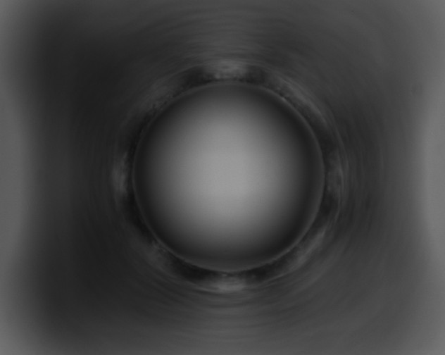 X0000100400604200806061318