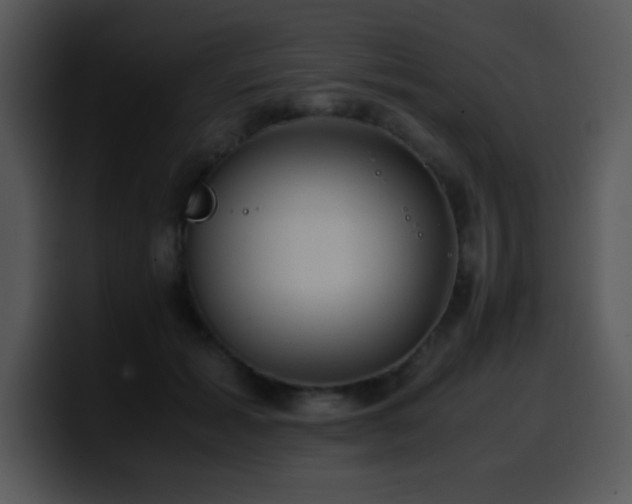X0000100400605200806061318