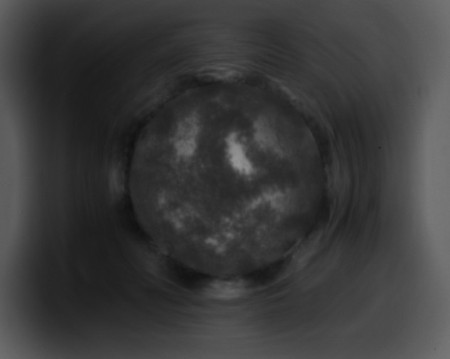 X0000100400606200806061318