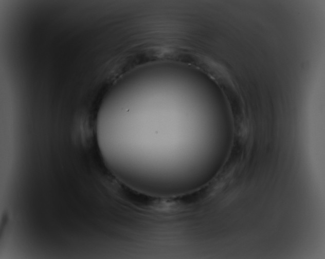 X0000100400607200806061318