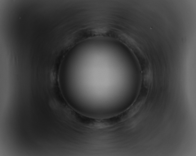 X0000100400608200806061318