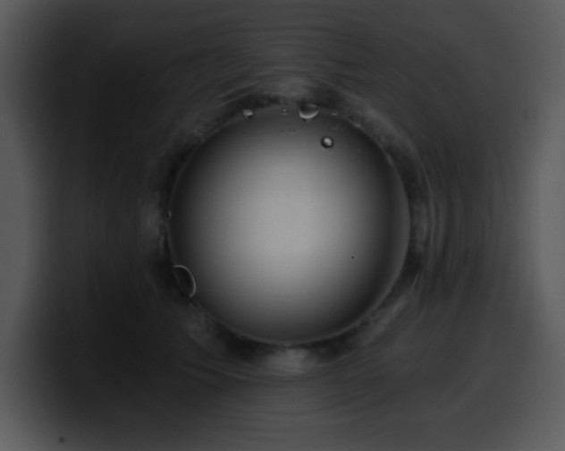 X0000100400609200806061318