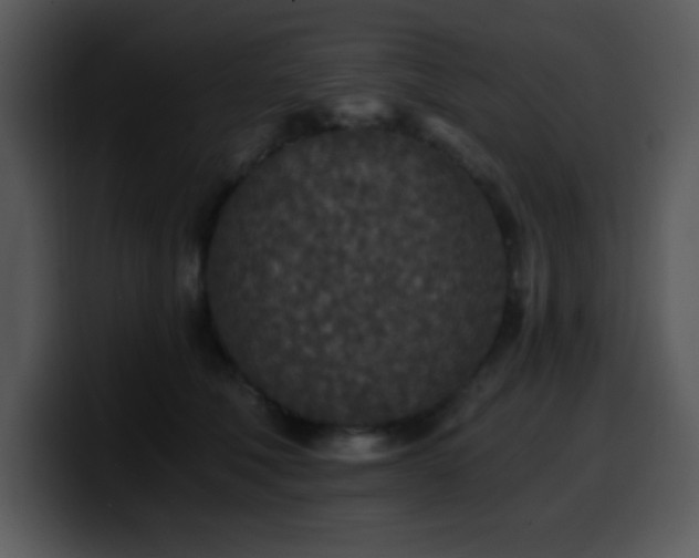 X0000100400610200806061318