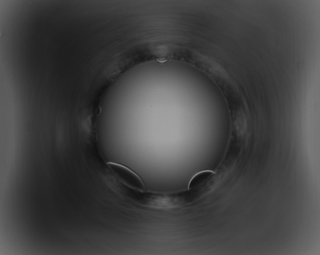 X0000100400611200806061318
