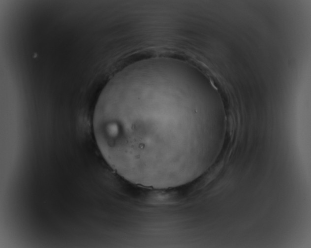 X0000100400613200806061318