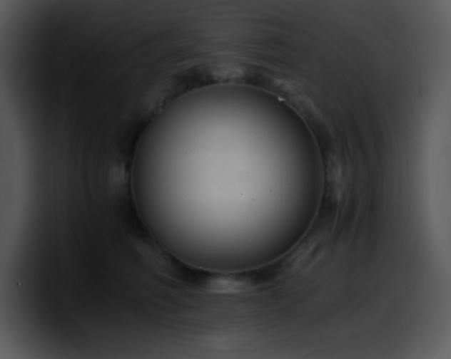 X0000100400614200806061318