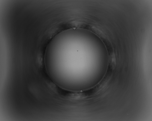 X0000100400615200806061317