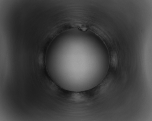 X0000100400616200806061317