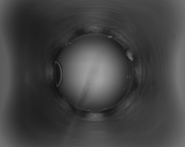 X0000100400617200806061317