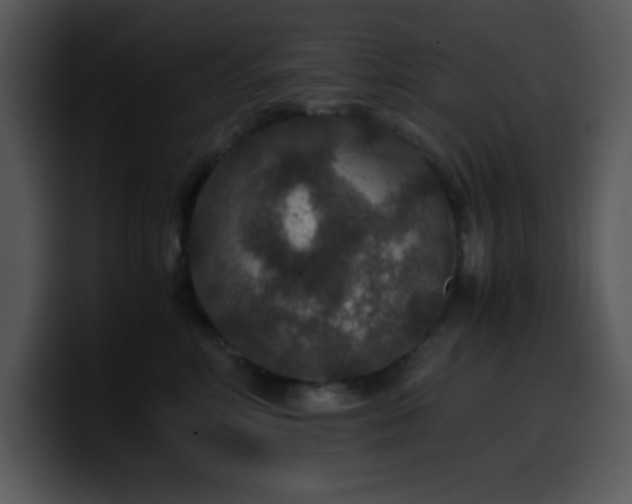 X0000100400618200806061317