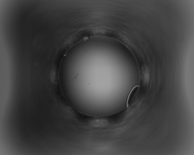 X0000100400619200806061317