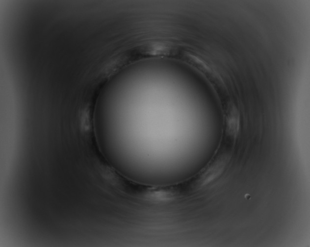 X0000100400620200806061317