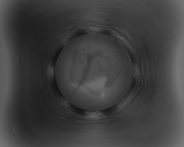 X0000100400621200806061317
